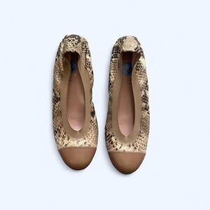 Snake print Lea ballet flats with elastic band size 6.5 by Ferca 81